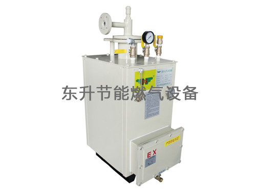 香蕉视频成人(LPG)防爆型污污香蕉视频下载器(DS30—50kg／h)